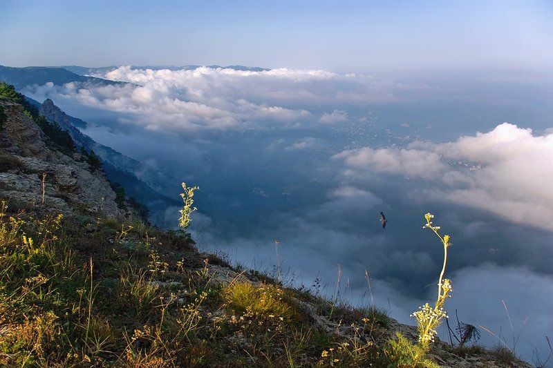 Over mountains and forests, and seas... фото превью
