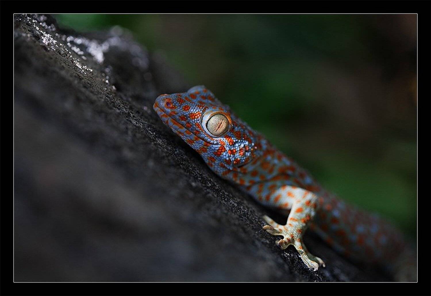 , Виктория Нарчук