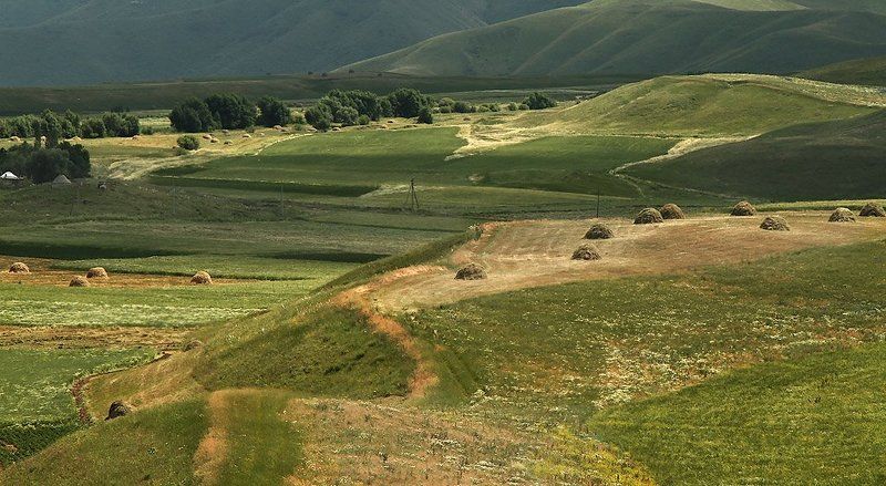 .......... фото превью