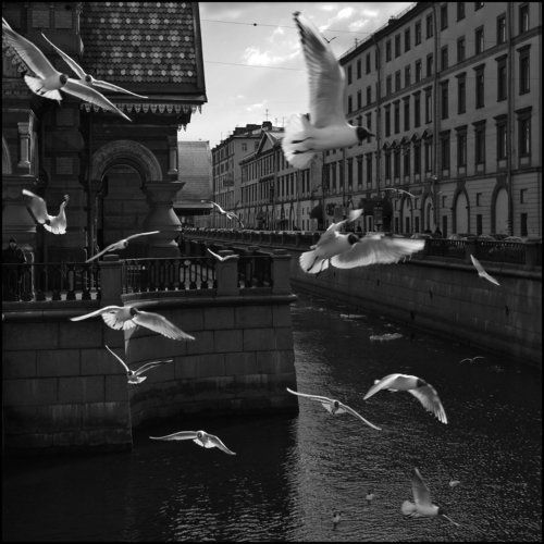 Весенняя суета