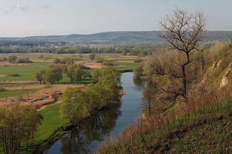 весна, река, донец, кручи Весна на Донце фото превью