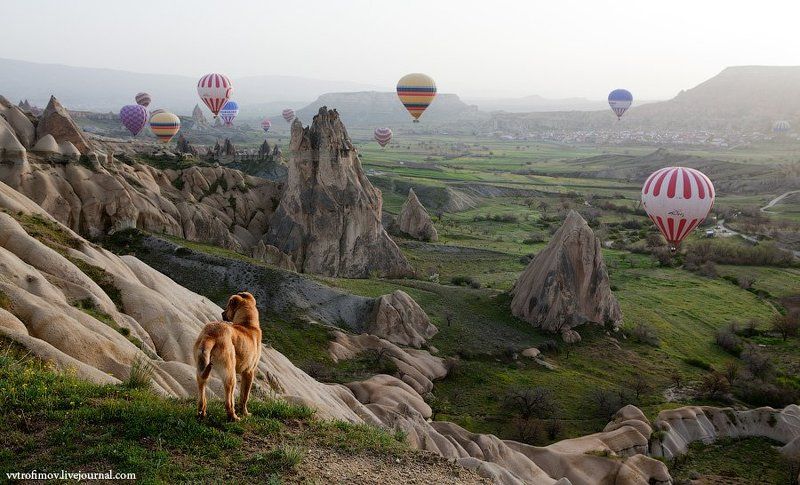 каппадокия, турция Хочется летать фото превью
