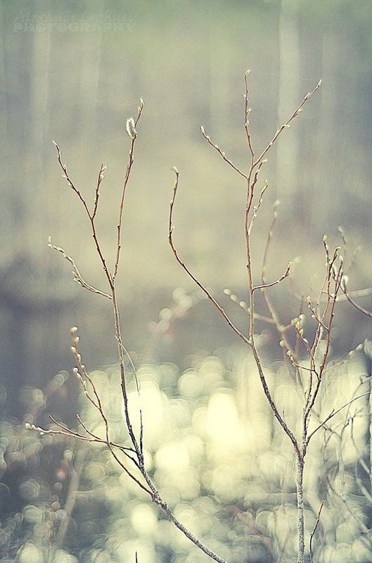 New Life... фото превью