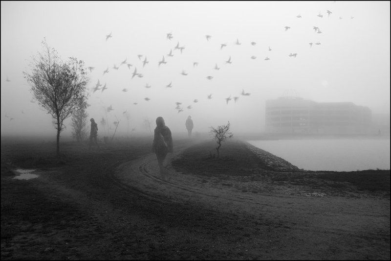 ... фото превью