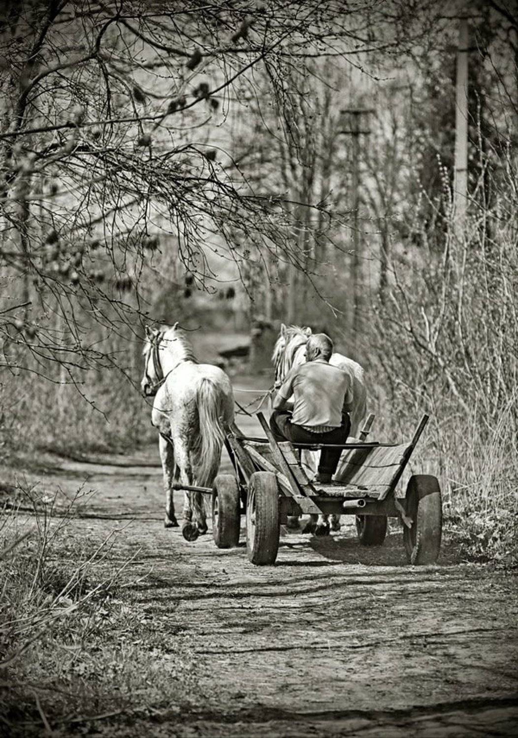 , Vasylevskyy Vitaliy