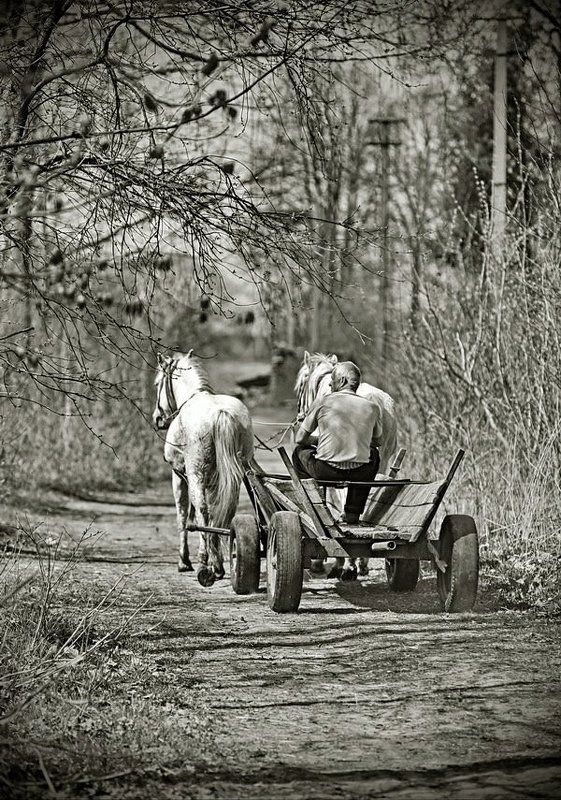 мужечЕк по своим делам... фото превью