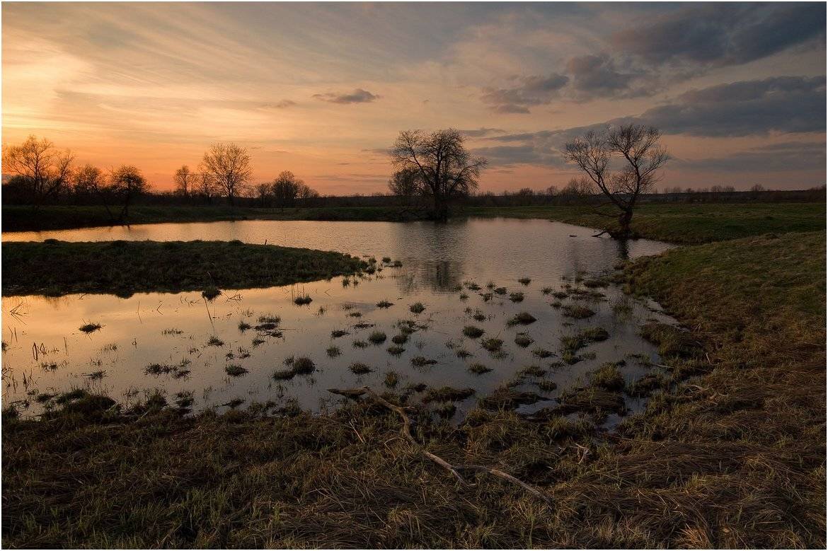 , Николай Шахманцир