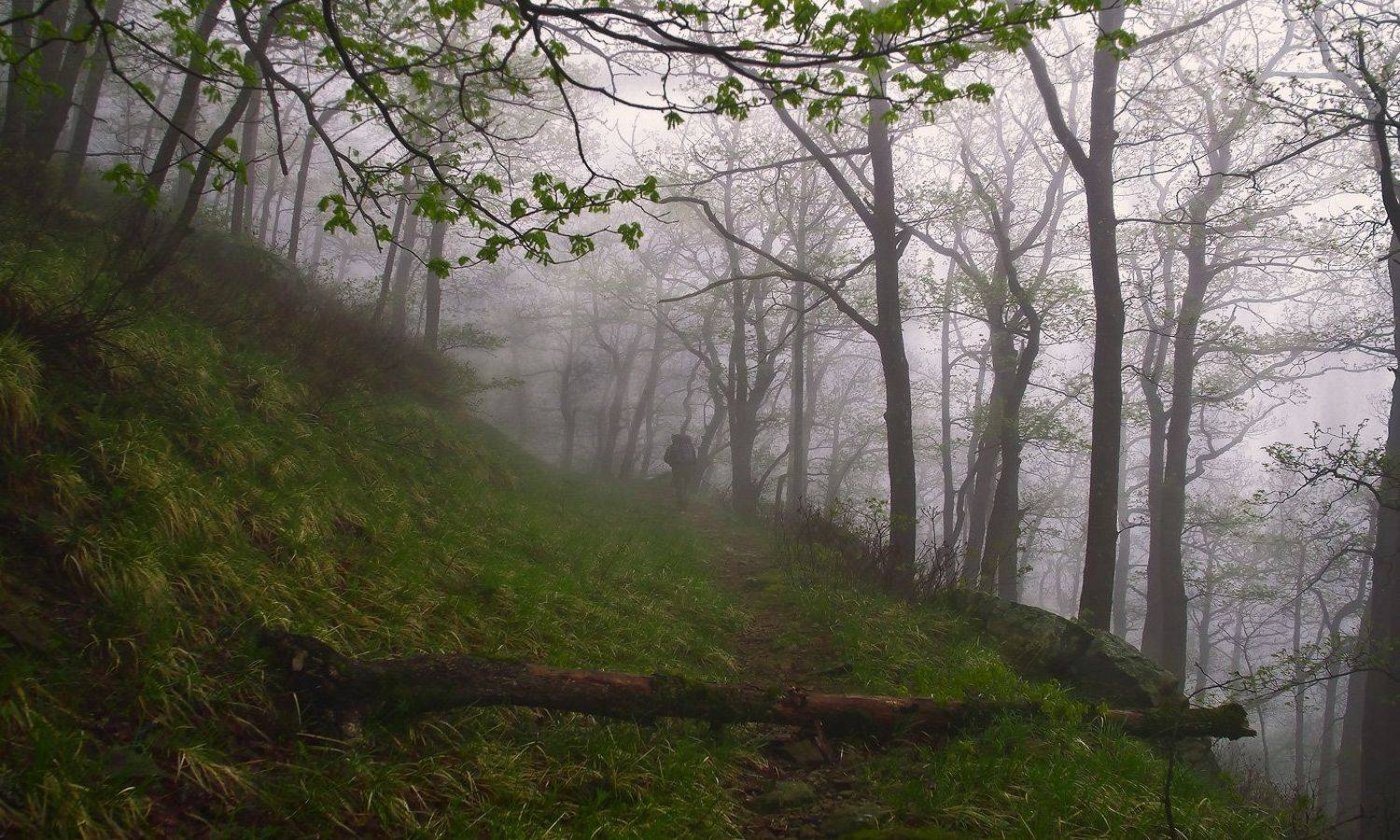 горы, туман, начало, пути, ФЁДОР