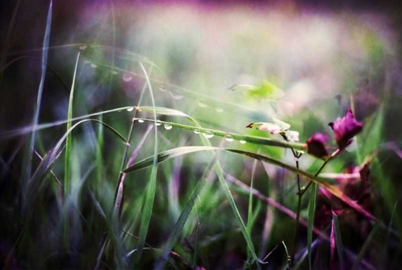 . фото превью