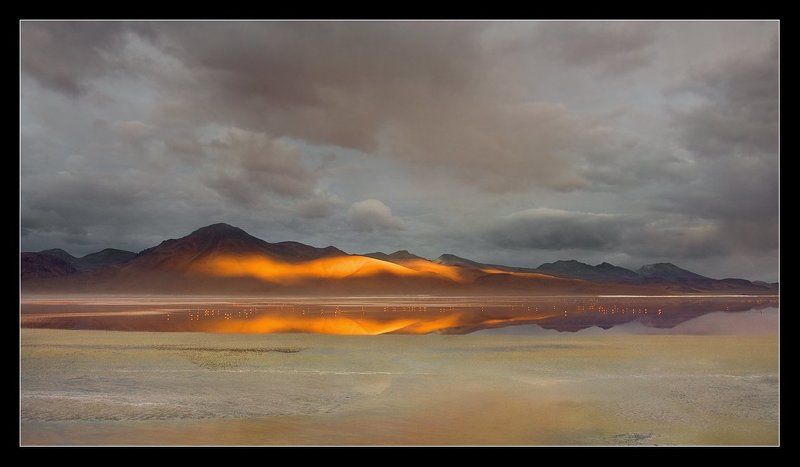 боливия, альтиплано, лагуна, колорадо, фламинго, соль Фламинго....утро нового дня.... фото превью