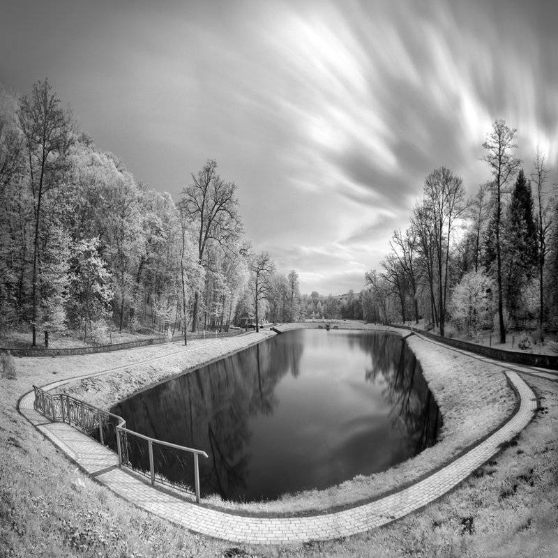 , Владимир Точаненко