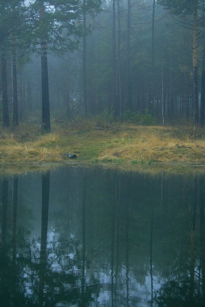 утро, туман, август, сентябрь, вода, отражение, Николай Морский