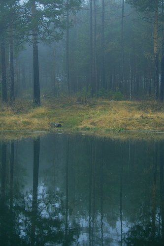 Сезонный порог