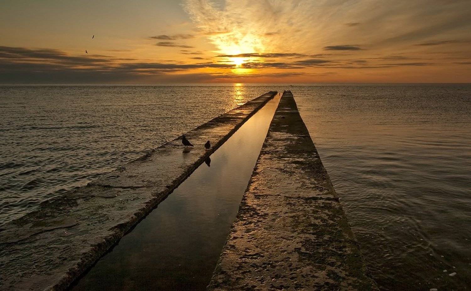 , Сергей Дымченко