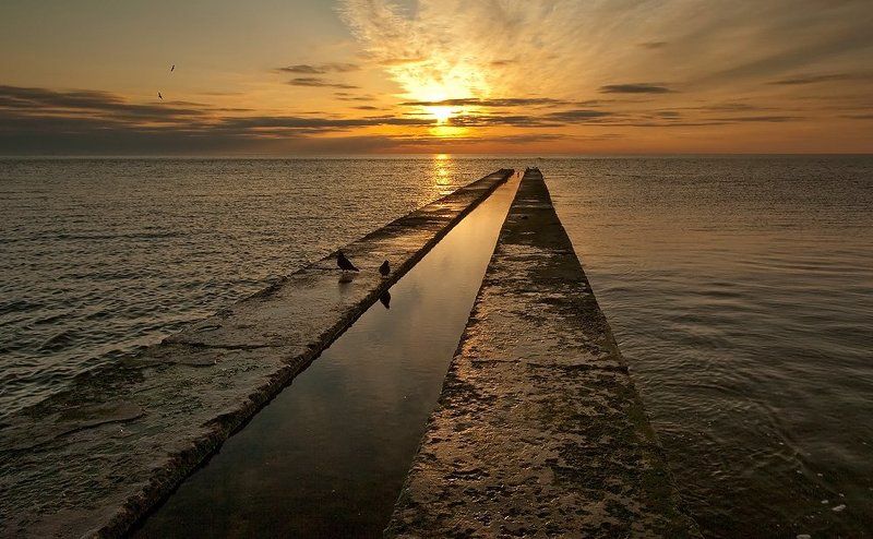 *** фото превью