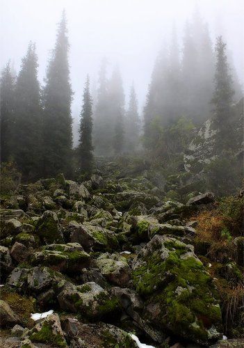 Каменная тропа