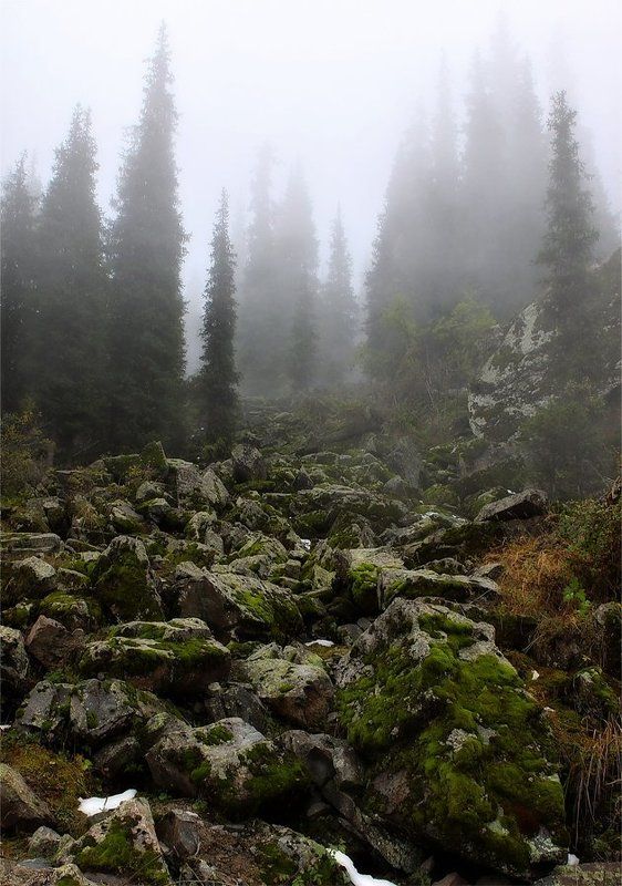 камни,тропа,туман Каменная тропа фото превью