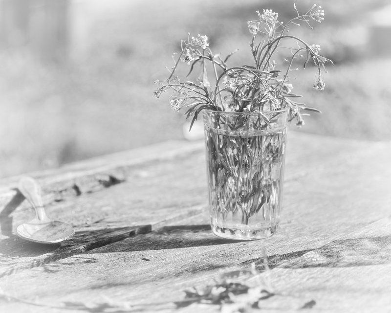 май, пастушья сумка, ложка, стакан, тени Открытие сезона фото превью