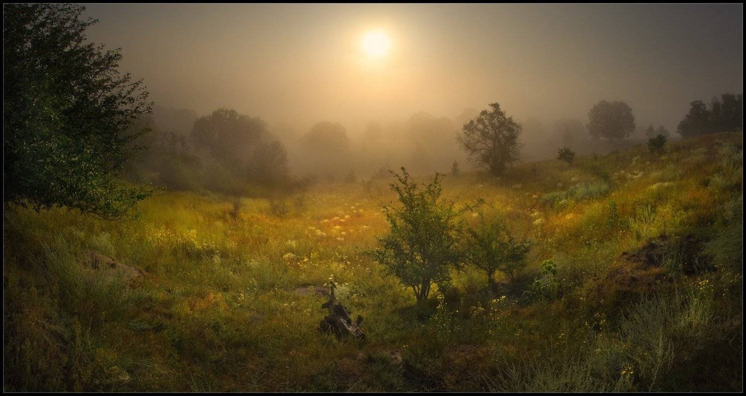 утро, туман, лето, панорама, солоницевка, Александр Киценко