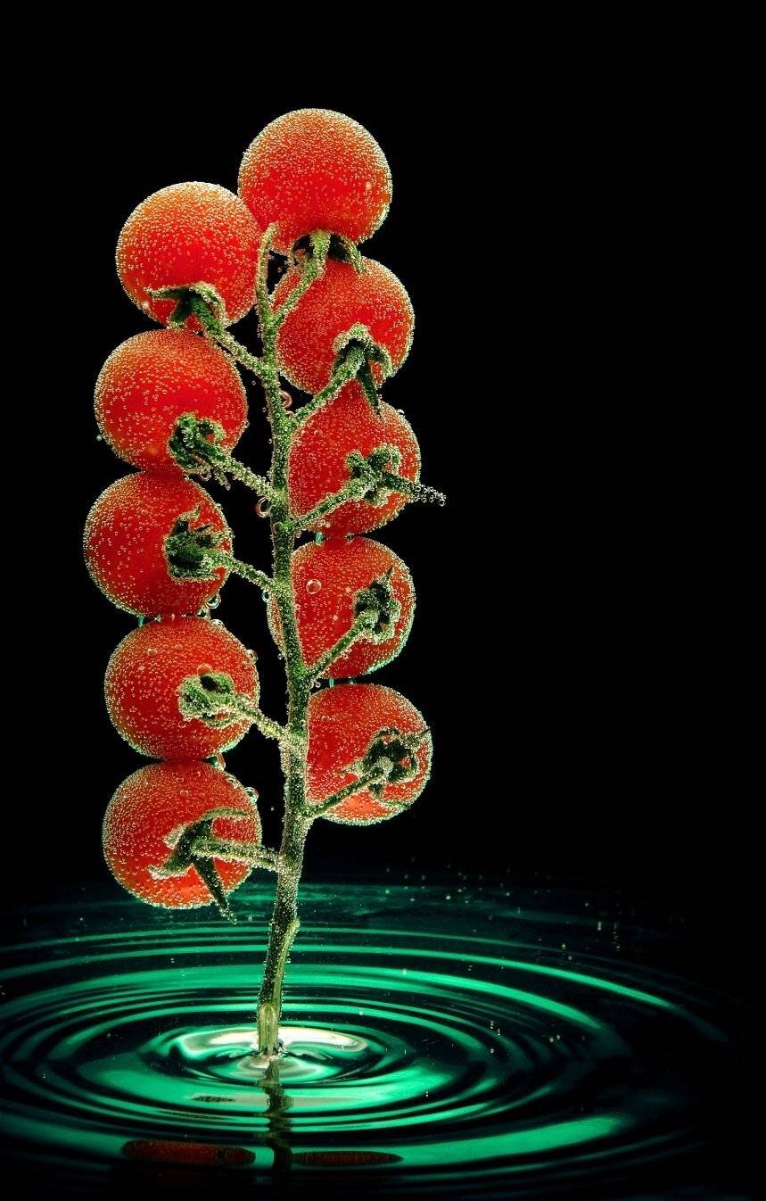 , Екатерина