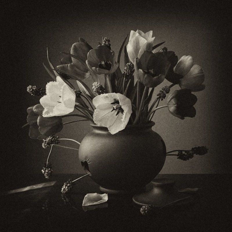 ///// фото превью