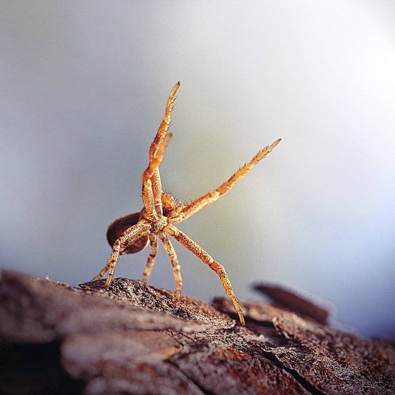 , Васенин Валерий