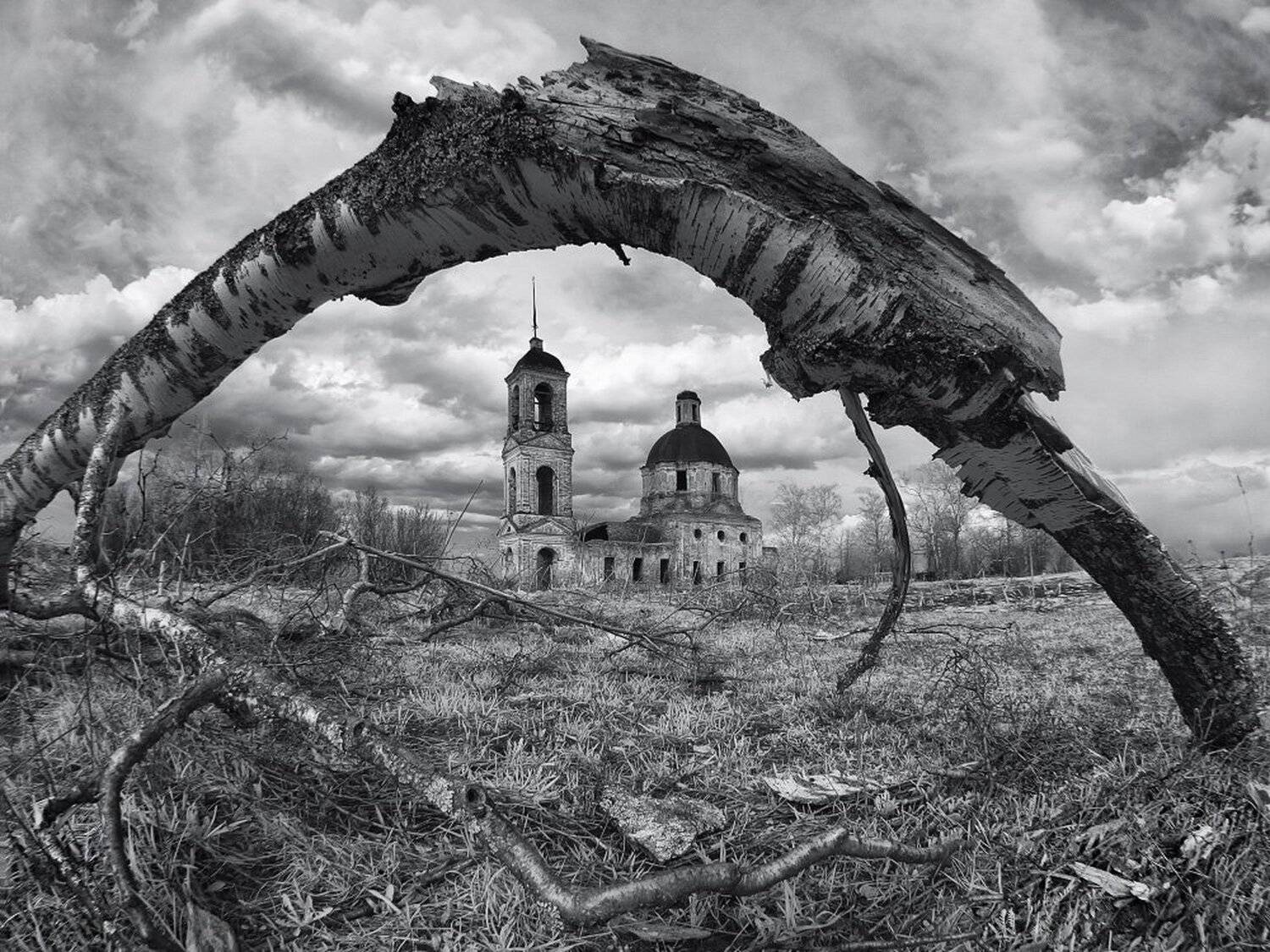 , Максим Евдокимов