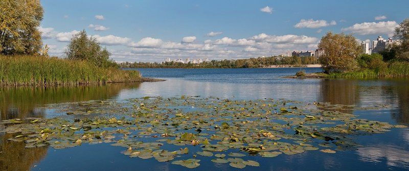 киев, десенка, река, облака, город, кувшинки *** фото превью