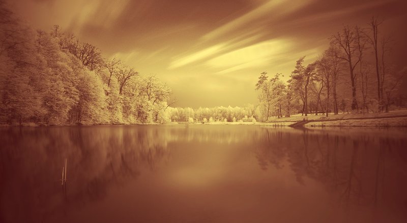 when angels fly away фото превью