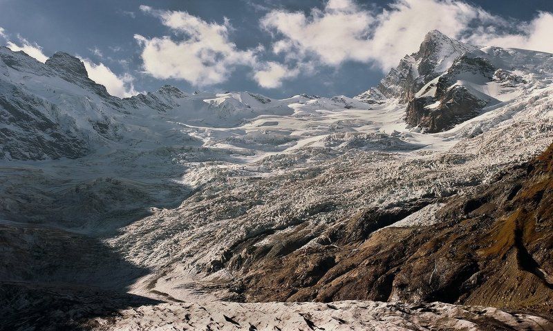 Эрцог фото превью