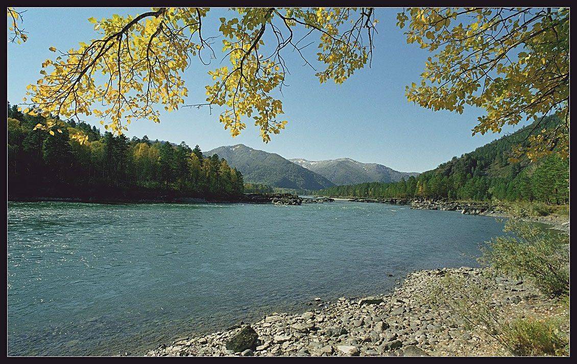 алтай, катунь. осень, АНАТОЛИЙ ДОВЫДЕНКО