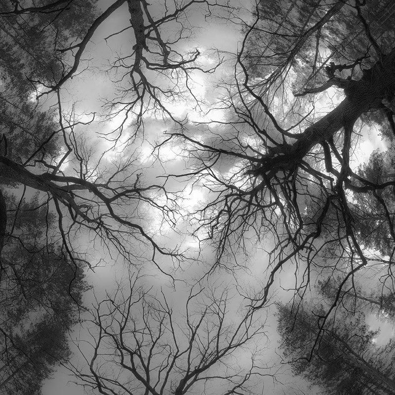 ** фото превью