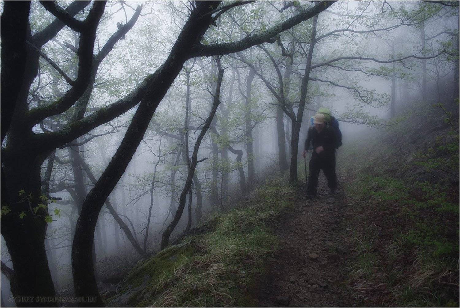 , Сергей Павлов