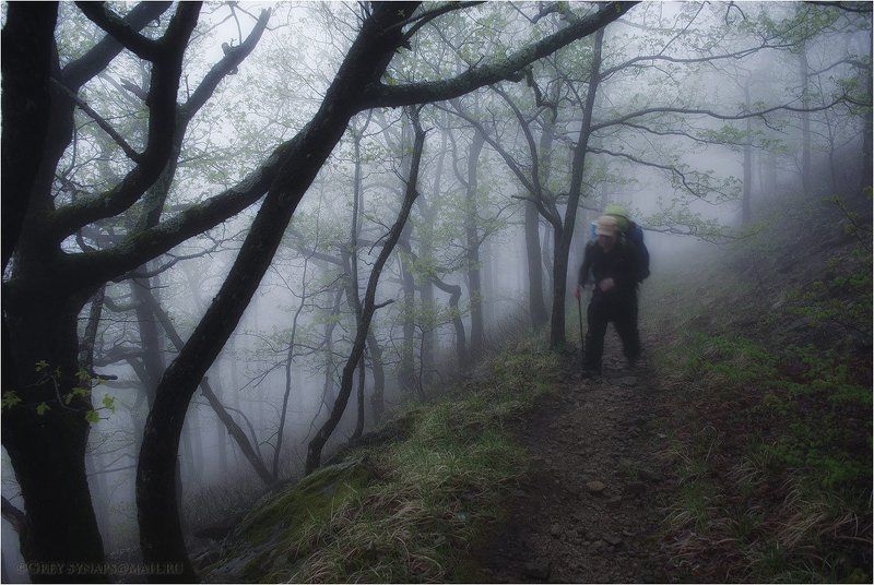 Идущий в тумане фото превью