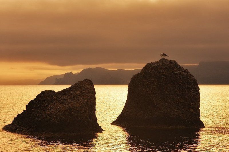 *** фото превью