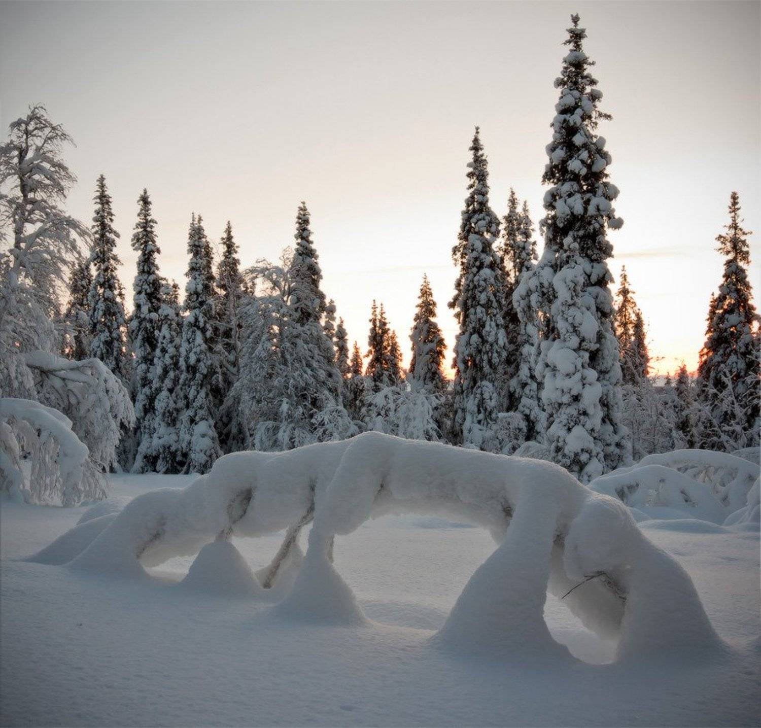 зима, кольский, полуостров, Nikolai (locus)