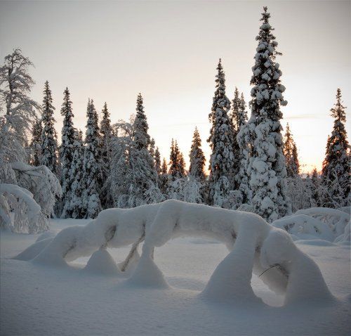 Зимние воспоминания
