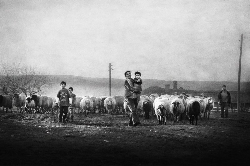 Семья фото превью