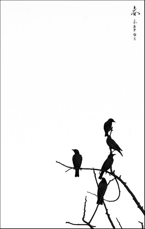 птица,птицы,силуэт,силуэты,владимир,шипулин,символы,иероглифы Дао фото превью