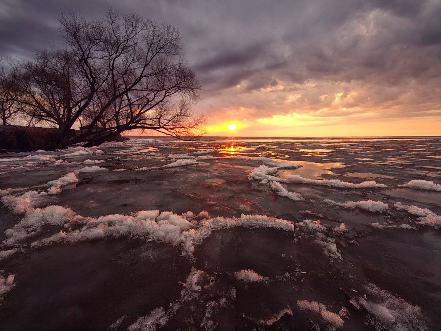 , Максим Евдокимов
