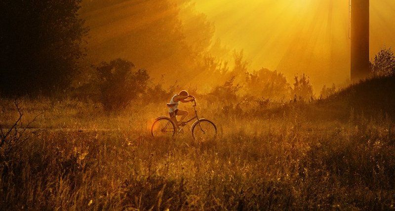 домой фото превью