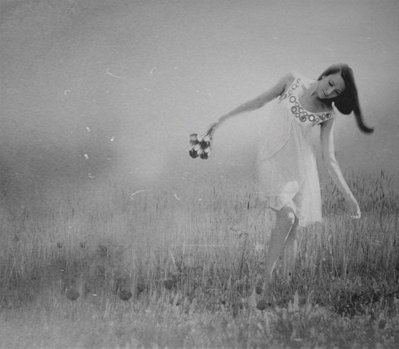 kivi фото превью