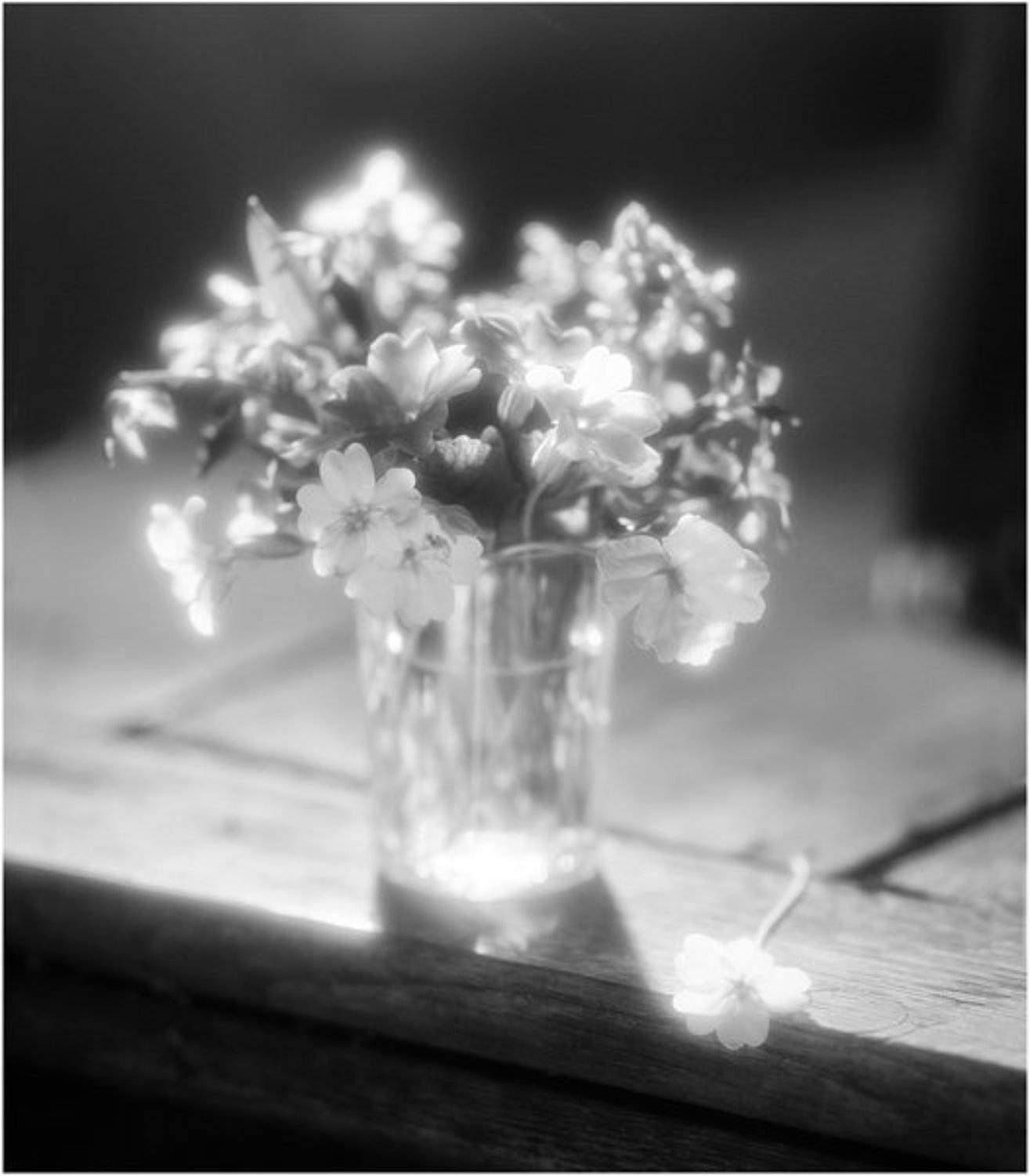 , Katerina Schastlivaya