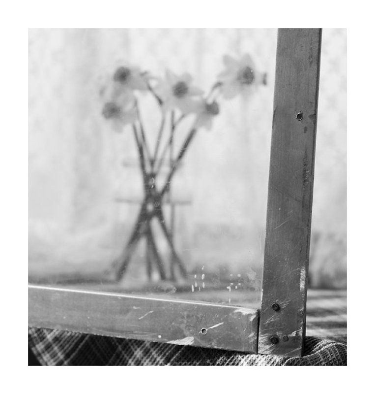 ... фото превью