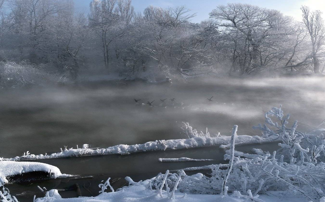 парк, горд, зарисовки река кубань ерик, ФЁДОР
