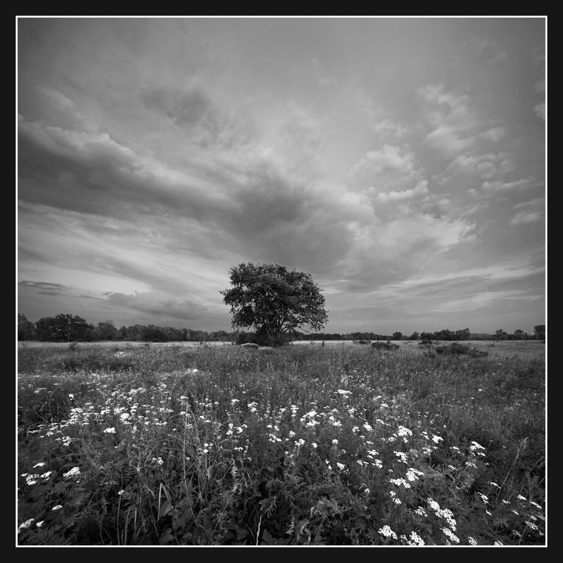 Где-то у устья Десны... фото превью