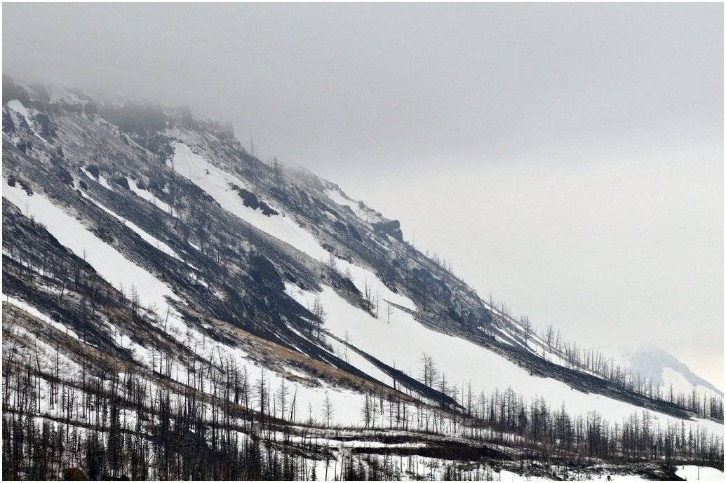 таймыр, Vladimir