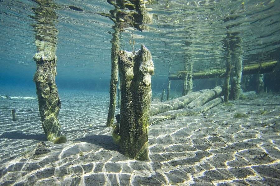 , Эдуард VTORNIK  Николаев