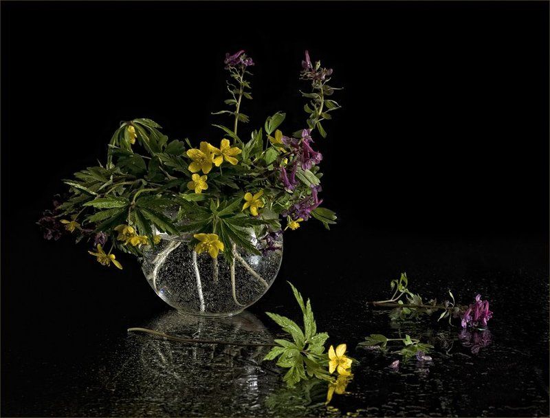 эфемероиды, хохлатки, ветреницы, ваза, вода Эфемероиды фото превью
