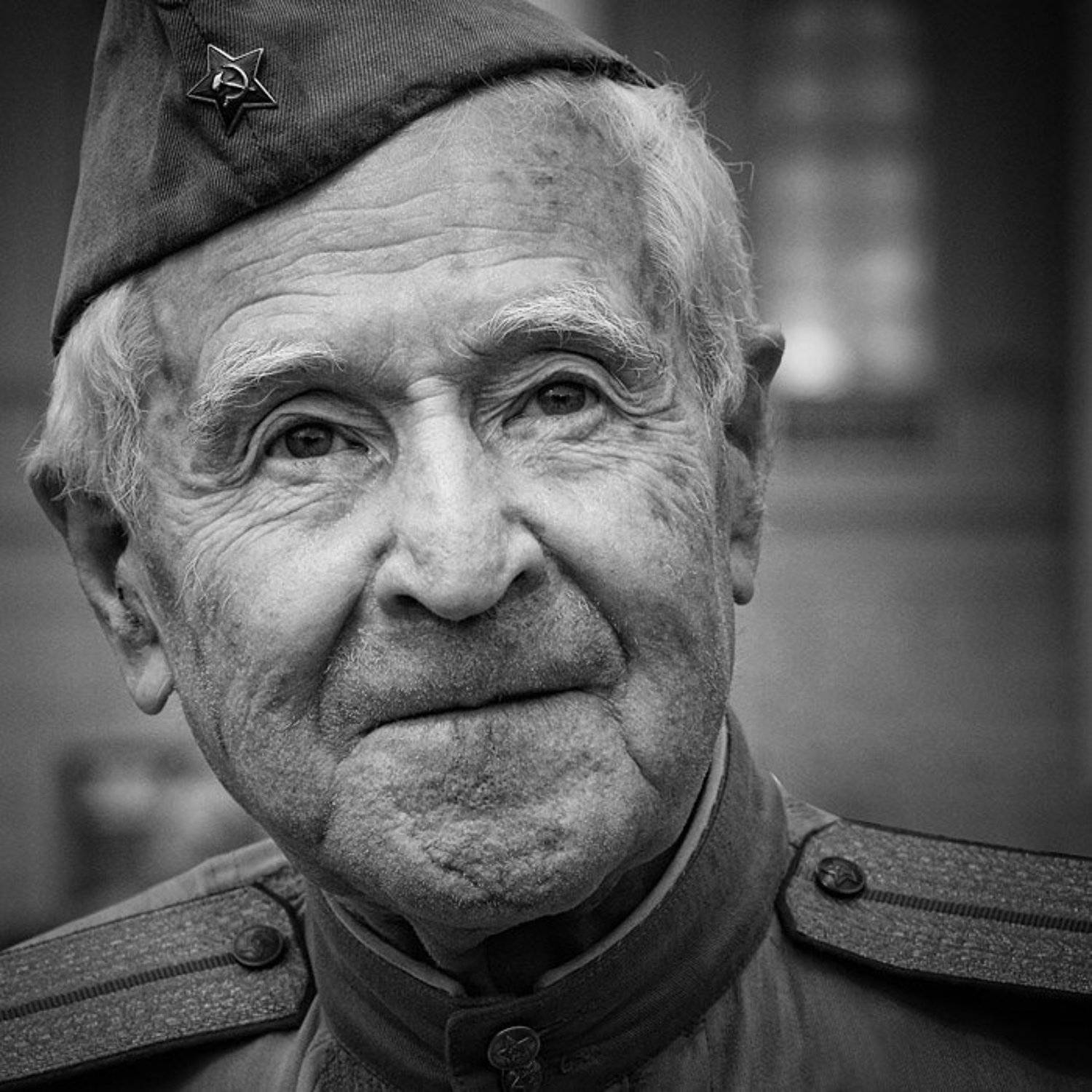 , vladimirvolkhonsky